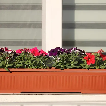 Apartmán Center Lvov