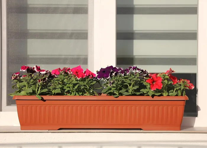 Apartamento Center Leópolis